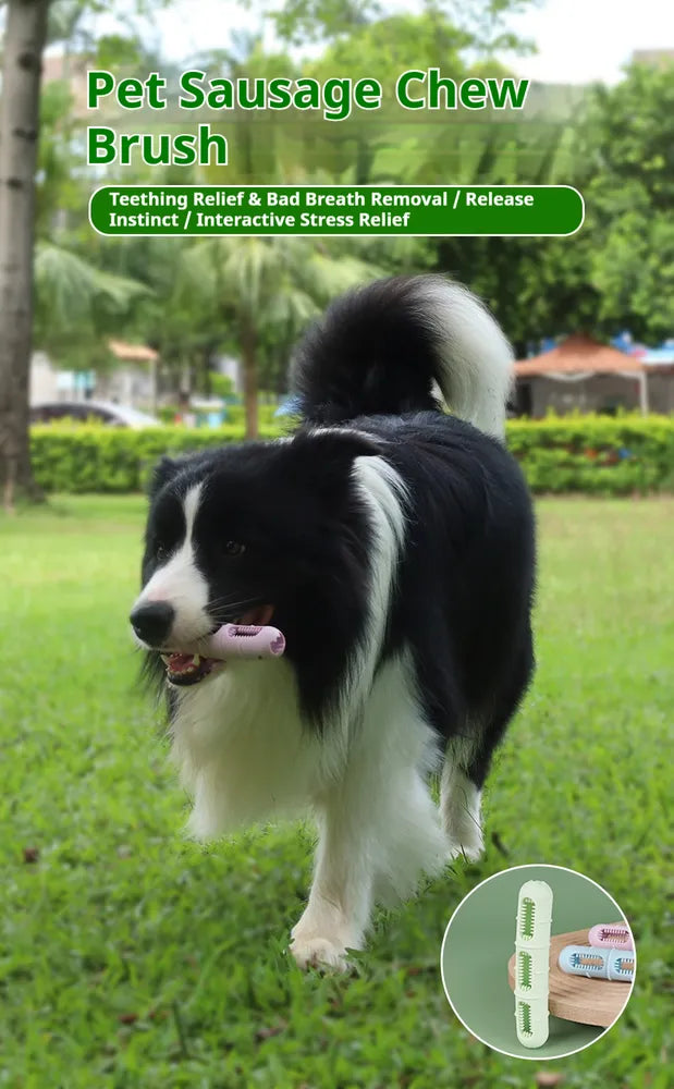 DOG Chew Toys For Teeth Cleaning,Pet Sausage Chew Brush,Pet Chew & Clean Buddy