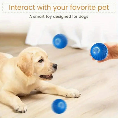 Blue And Orange Pet Bouncing Ball Fun Pet Bouncing Ball For Cats And Dogs,Self-pickup Only