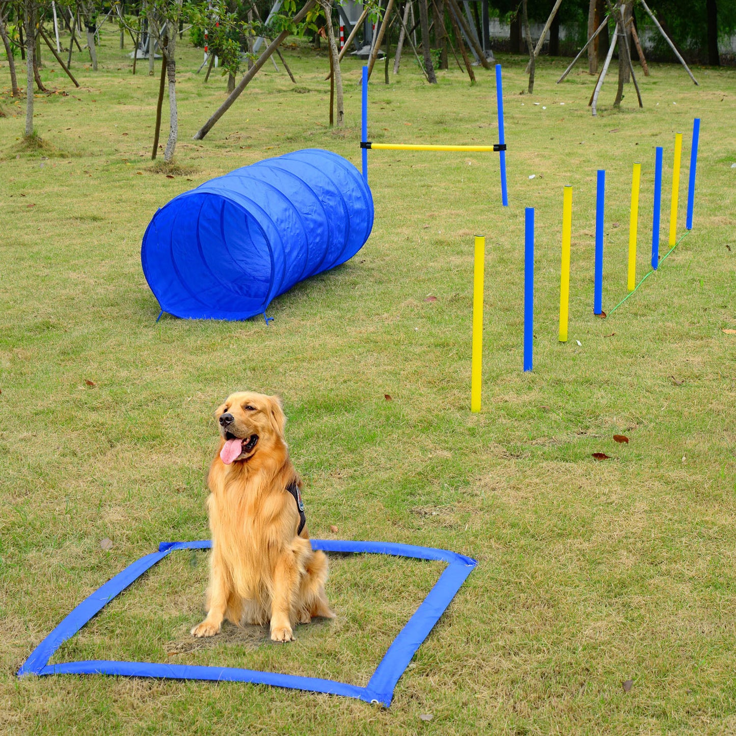 Competition Dog Agility Equipment Obstacle Course Set for Outdoor Backyard, Blue and Yellow