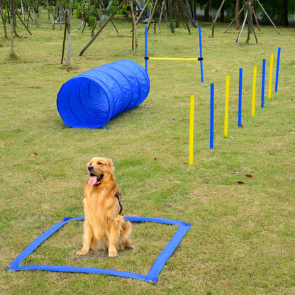 Backyard Competitive Dog Agility Training Kit Obstacle Course Equipment