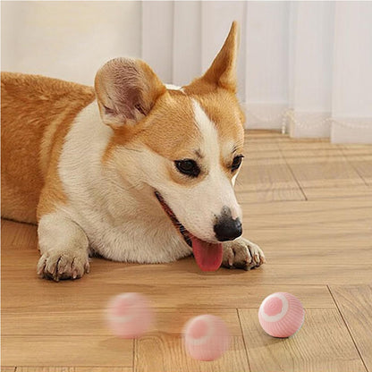 Interactive Rolling Cat Ball