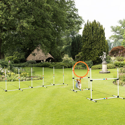 Backyard Competitive Dog Agility Training Kit Obstacle Course Equipment